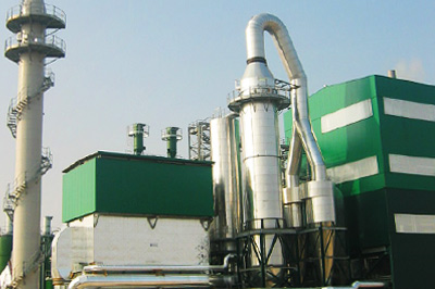 WTE & Biomass Power Industry